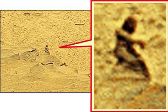 Slavni Martian iz kraka Gusev