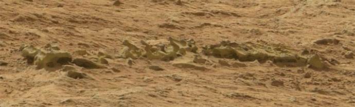 Na Marsu so odkrili okostje neznane živali?