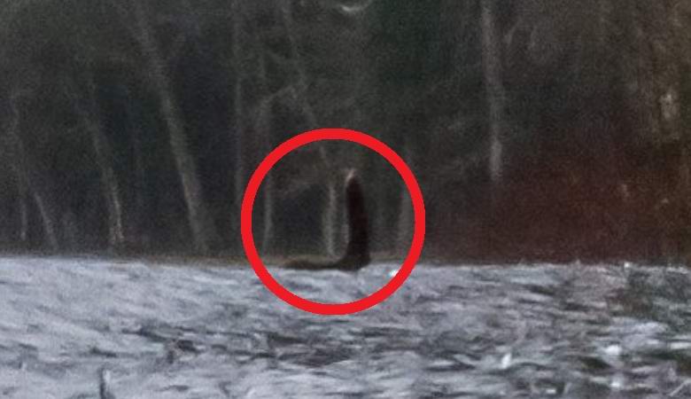 V Googlovih panoramah smo našli jasen posnetek Nessie.