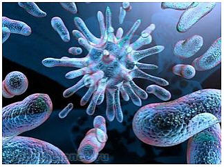 Na površini Marsa so odkrili speči živi organizem.