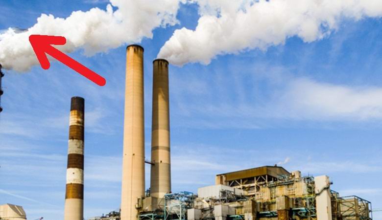 Na mestu rastline v Sankt Peterburgu so našli fotografijo z