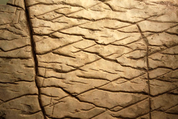 Na Zemlji je bilo veliko civilizacij.