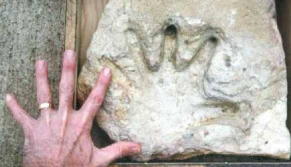 Na Zemlji je bilo veliko civilizacij.