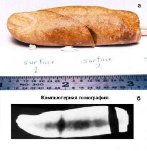 Na Zemlji je bilo veliko civilizacij.