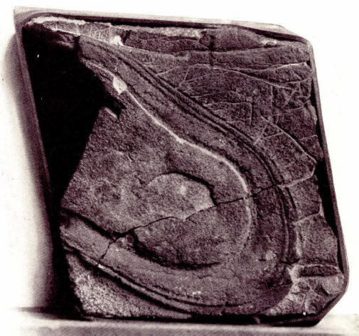 Na Zemlji je bilo veliko civilizacij.