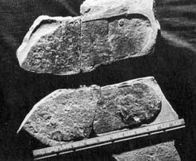 Na Zemlji je bilo veliko civilizacij.