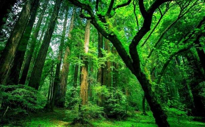 Na Zemlji niso našli krajev, ki jih ne bi dotaknila civilizacija.