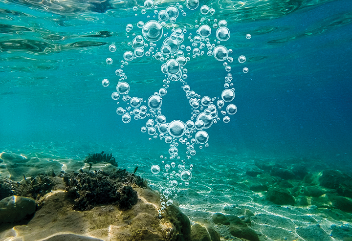 Na Zemlji se bodo pojavila velikanska območja smrti, so povedali okoljevarstveniki.