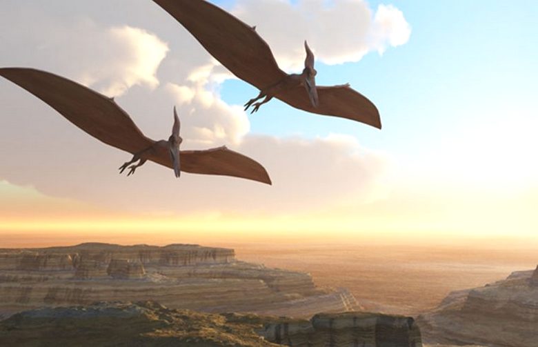 Opažanja pterodaktilov v bližini znamenitega Roswella