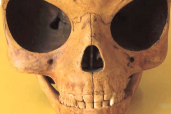 Najden tujec lobanje