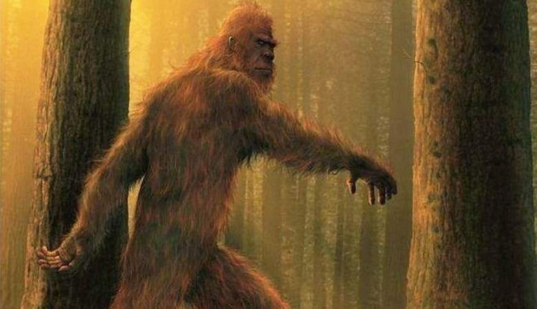 Najdeno, da je Yeti nedavno zapustil sledi v Teksasu