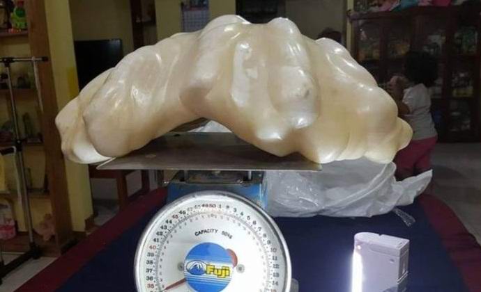 Našli smo rekordni biser v vrednosti sto milijonov