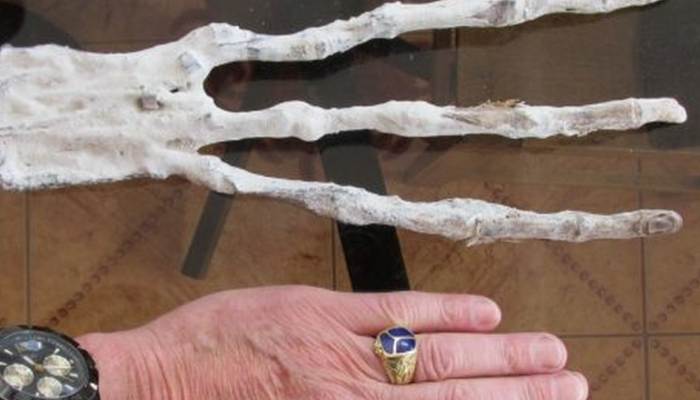 Si našel roko tujca?