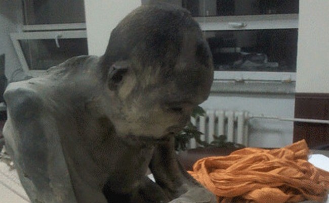 Našli smo edinstveno mumijo - senzacija za budiste