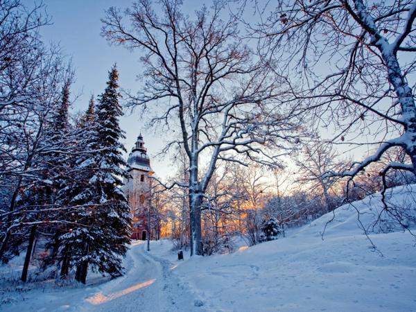 11. decembra ljudska znamenja 