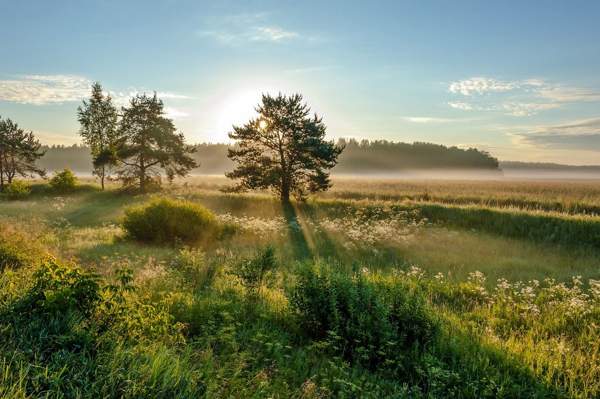 ljudska znamenja za junij 