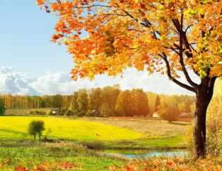 Narodni znaki za september