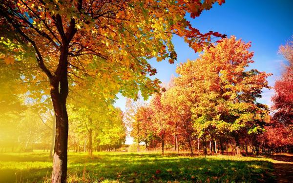 Oznake za vsak septembrski dan 