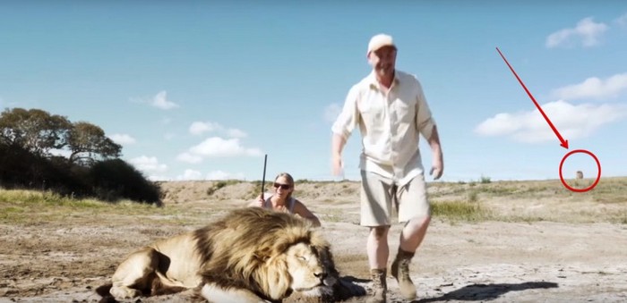 Ne zbudite si drzne ali kako je narava kaznovala branilce