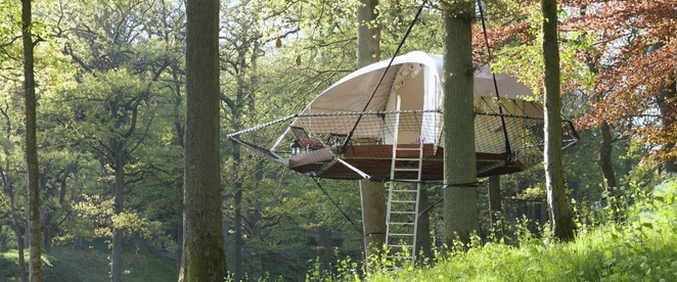 Ali želite živeti na drevesu?