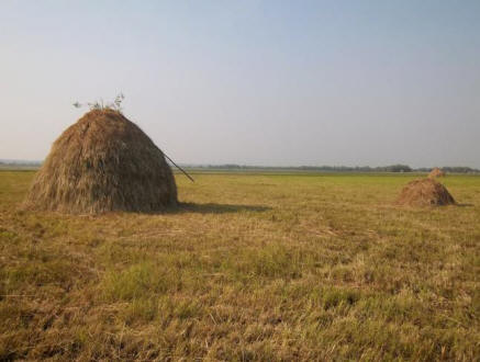 Ne kradi od čarovnika