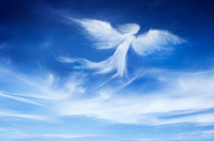 Nebesni pojavi, ki se pojavijo kadar koli v dnevu.