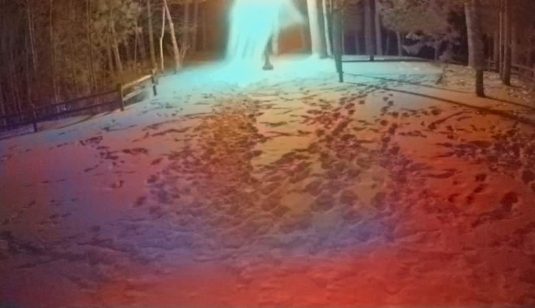 Nekaj ​​nenormalnega je padlo v objektiv nadzorne kamere.