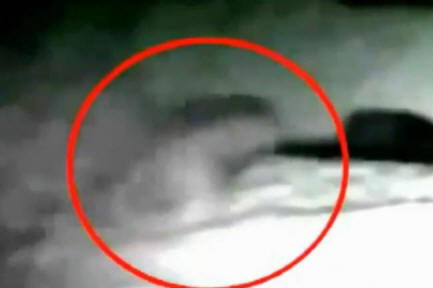 Nekaj ​​na postelji