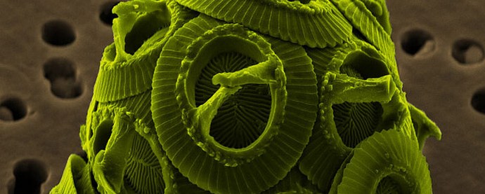 Nekaj ​​čudnega in strašljivega