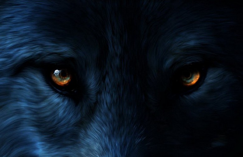 V Oklahomi se je pojavil podčlovek s grozno rumenimi očmi.