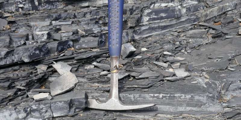 Pomanjkanje kisika v oceanih je v preteklosti povzročilo globalno izumrtje življenja na Zemlji 