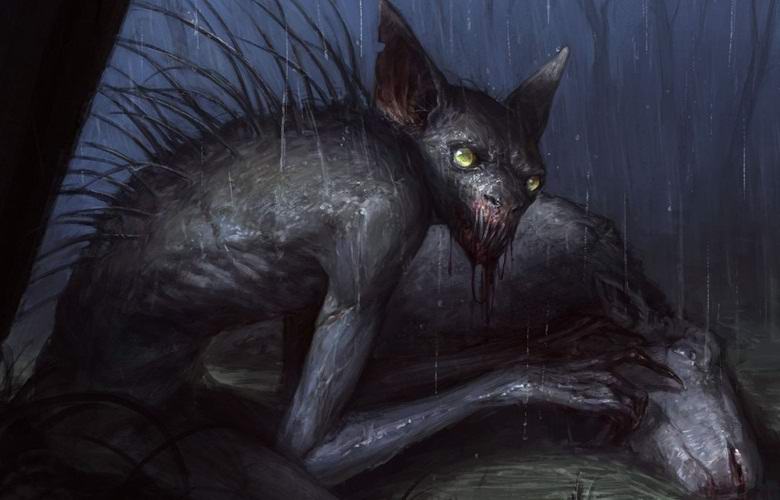 Neznana pošast skrivnostno požre notranjost ovc v Indiji.