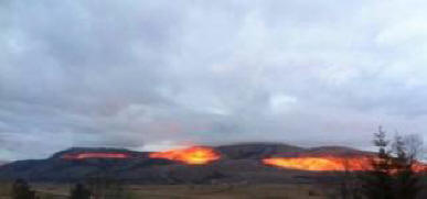 Nenavaden pojav v Bosni in Hercegovini