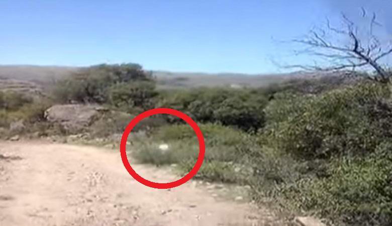 Nerazumljiv žarek je preganjal argentinske avtomobile