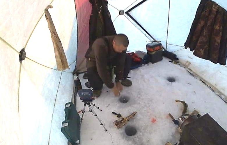 Počasen ribič ali srečna ščuka