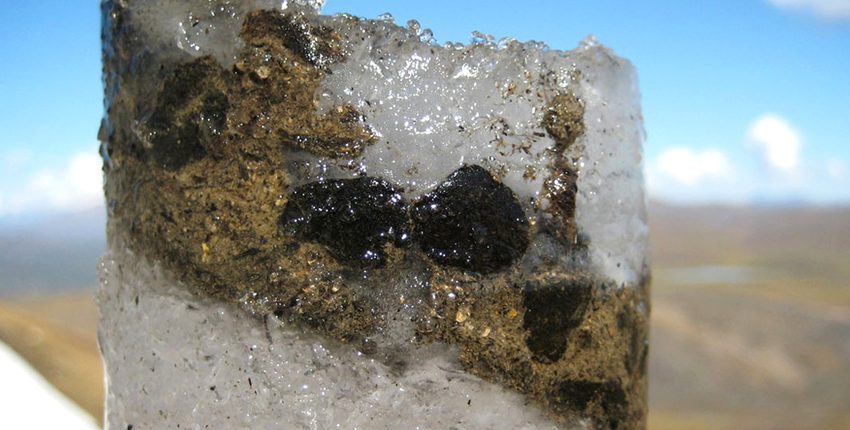 V 15.000 let starem ledeniku so odkrili več starodavnih virusov 