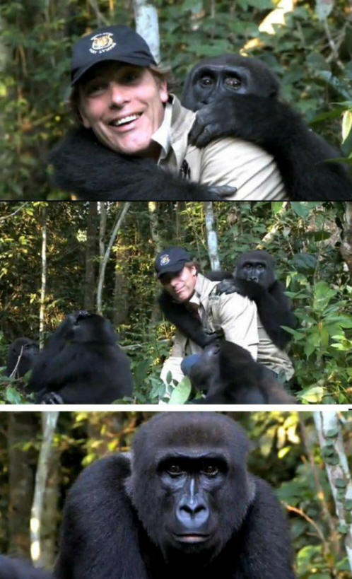 živali 111 Nekaj ​​očitnih dokazov, da imajo živali dušo