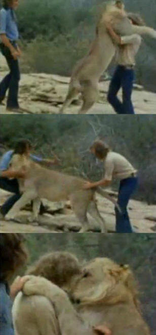 živali 41 Nekaj ​​očitnih dokazov, da imajo živali dušo