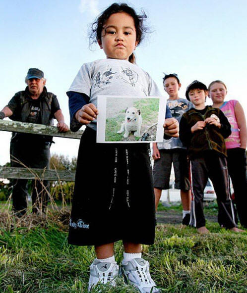 živali 71 Nekaj ​​očitnih dokazov, da imajo živali dušo