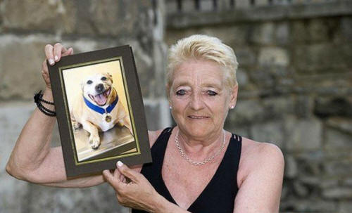 živali 101 Nekaj ​​očitnih dokazov, da imajo živali dušo