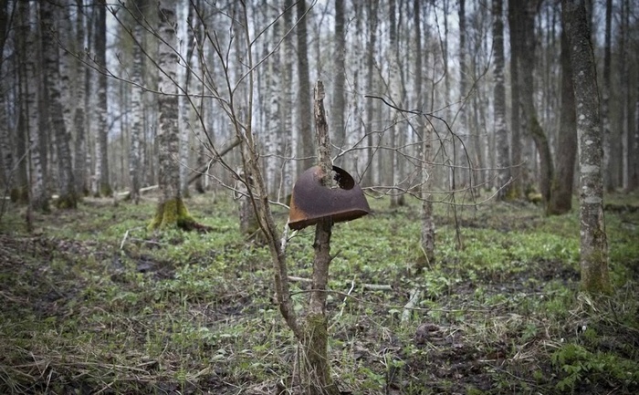 Nemirne duše bojevnikov