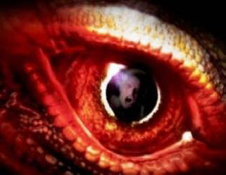 Neverjetna srečanja v oceanu