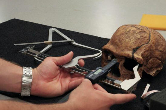 Nizek testosteron je ljudi naredil bolj civilizirane.