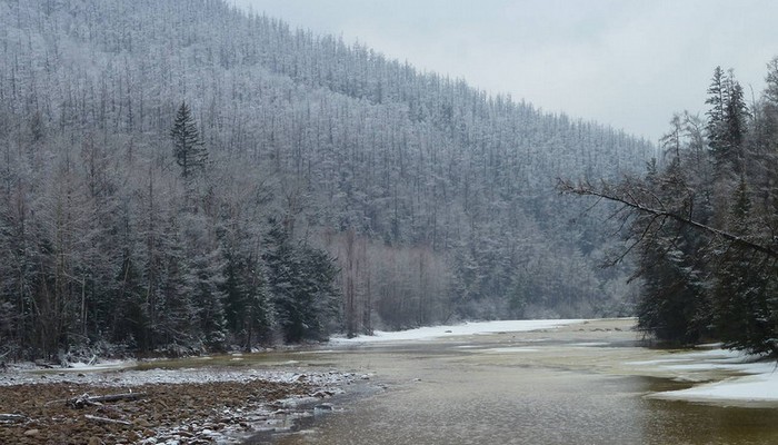 NLP anomalna cona Urkan