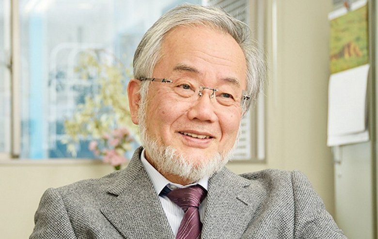 Nobelova nagrada za odkritje avtofagije