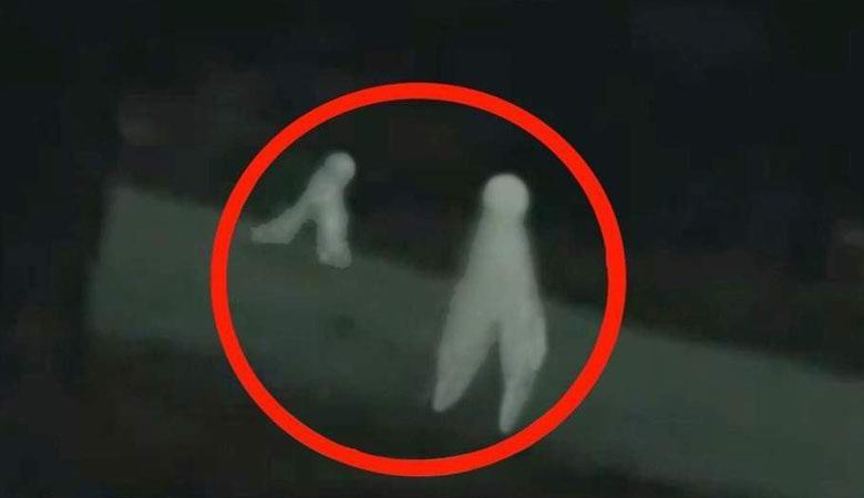 Nočni pajki Fresno so dvakrat zadeli videoposnetek.