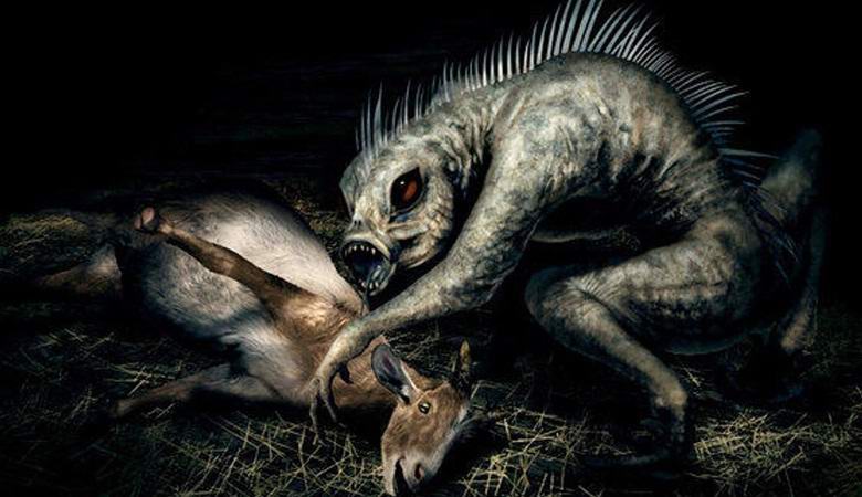 Nov posnetek chupacabre je zadel v splet