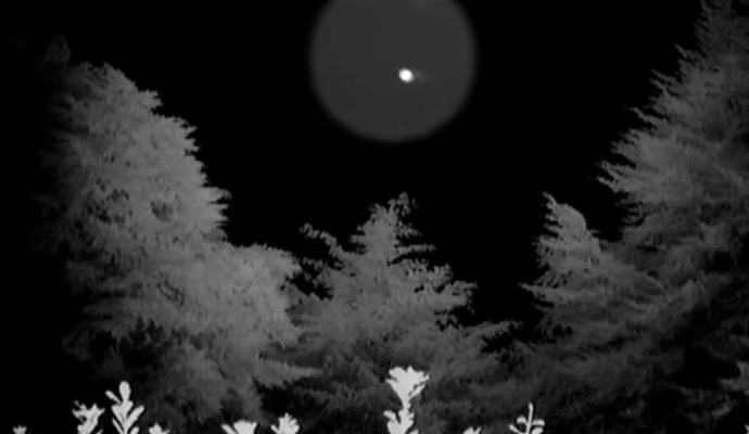 Novozelandci pokazali NLP v bližini svojega doma