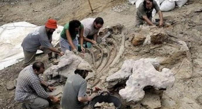 O velikanskih škorpijonih in čudnih ugotovitvah ameriških znanstvenikov