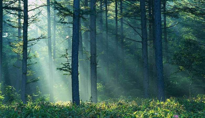 O skrivnostni tajgični anomaliji na Uralu